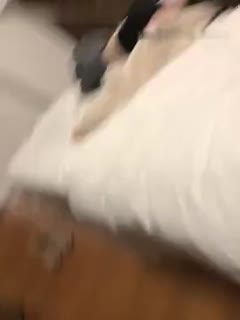 操护士逼-免费爱爱视频网站-成人AV