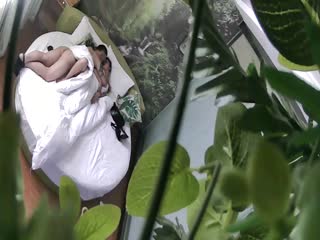 爱的色放西瓜-17c.cpp-成人AV