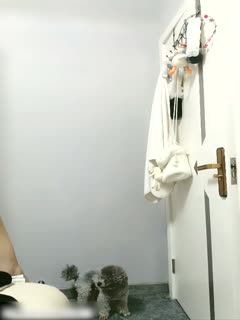 人人操人人爽人人干-天天干天天碰-成人AV