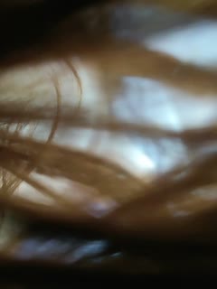 91视频看看-美人 韩国-成人AV