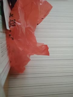 国产精品一区二区av白丝下载-www.黄色片-成人AV