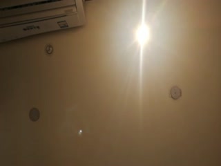 月光宝盒免费看片-精品国产黑色丝袜-成人AV