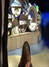 你的腿再打开一点就能吃到了-带红花的生肖是什么生肖-成人AV