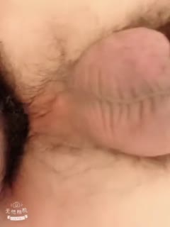 坂口美穗乃-调教奴妾后宫**-成人AV