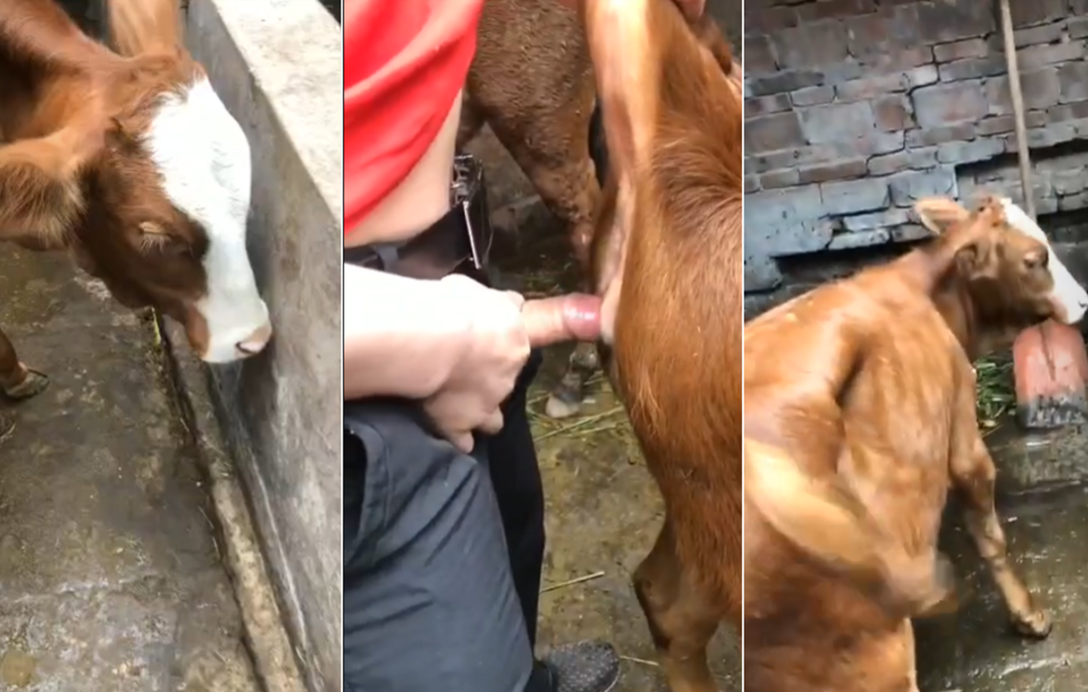 恋爱舞台第二季-欧美性大婬乱A片-成人AV