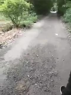 动漫毛片在线观看-杨思敏A毛片6集-成人AV