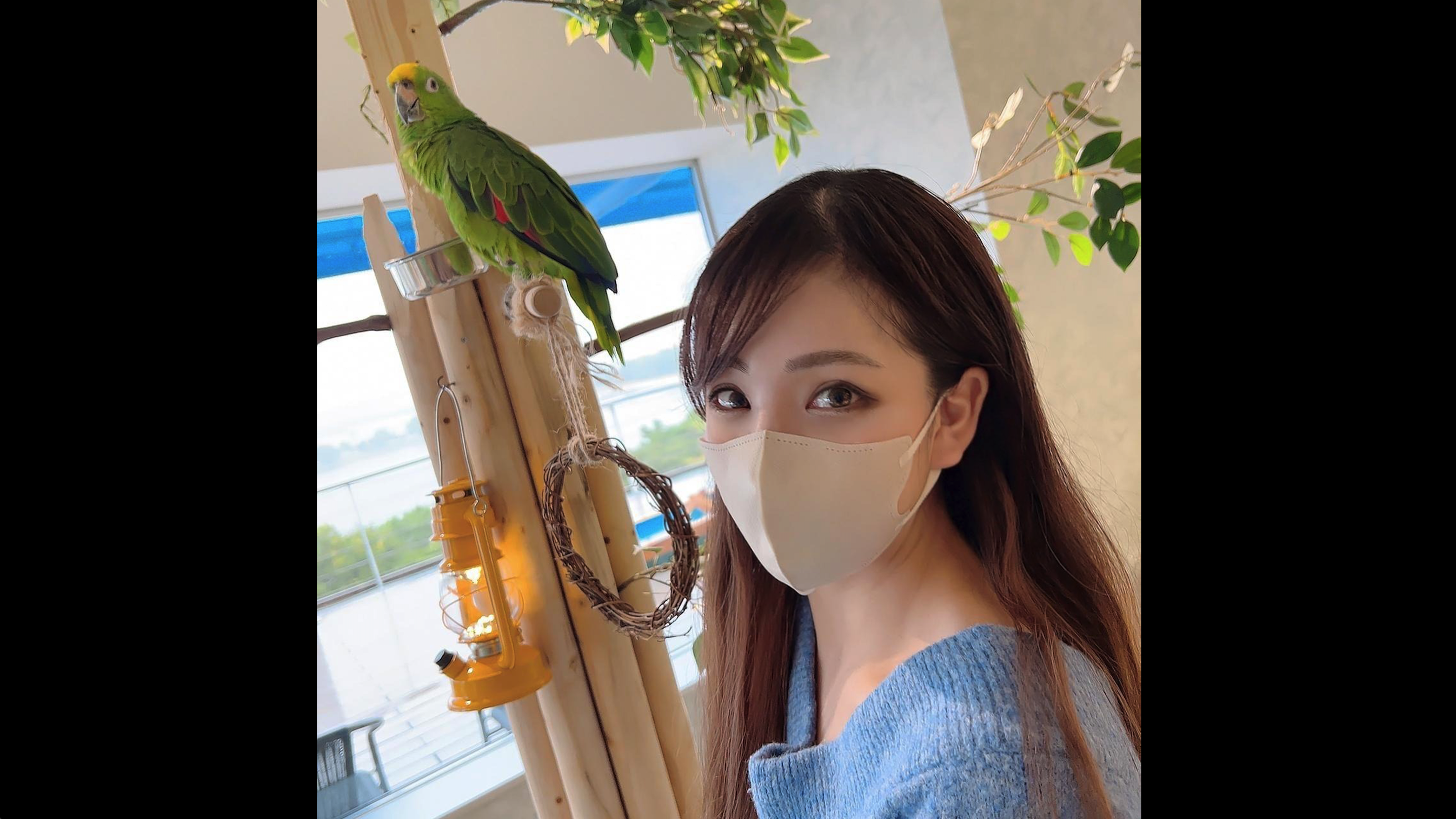 近距离爱你无删减版电视剧免费观看全集-狠干在线-成人AV