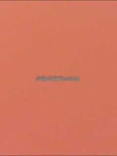 黄色免费一级片史密斯夫妇-美女100%无遮挡露出奶头和尿口-成人AV