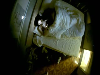 free欧美性xxxxhd天美-717影视三级理论电影在线-成人AV