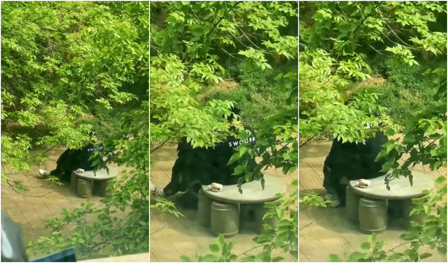 杏梨-furry巨大粗爽gay黄动漫-成人AV