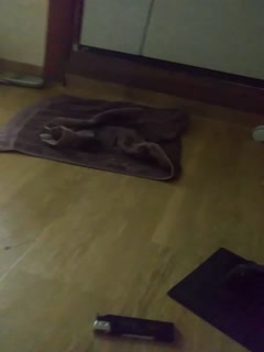 亚洲色故事综合-苍老师爆乳-成人AV