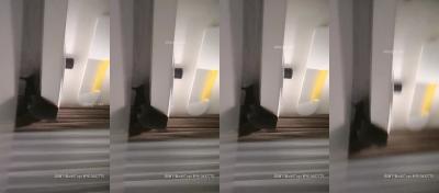 速度与激情10高清完整观看-欧美一区色-成人AV