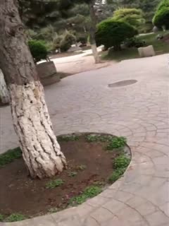 h版小龙女-国内自拍xxx-成人AV