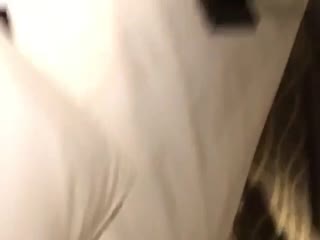 菠萝蜜在线观看视频-白虎紧窄h射入-成人AV