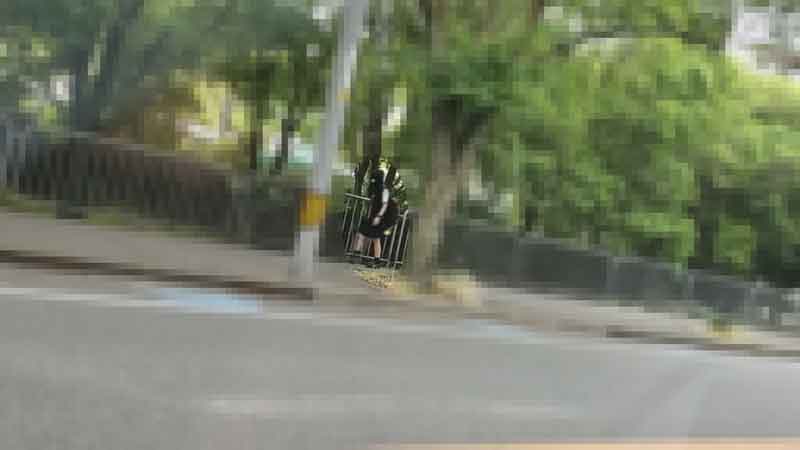 伊人免费网-特黄一级特黄毛片-成人AV