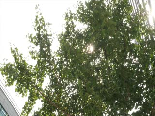 日本精油按摩在线观看-亲爱的孩子-成人AV