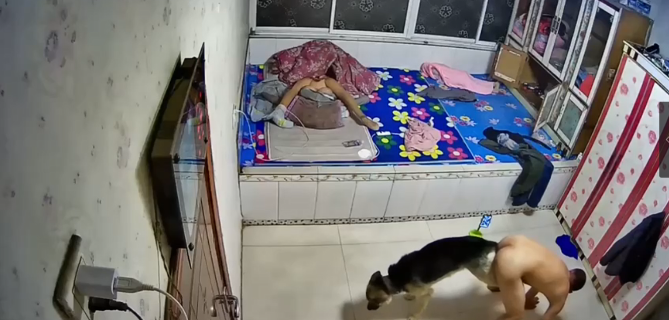 lovelive-在线一区免费观看-成人AV