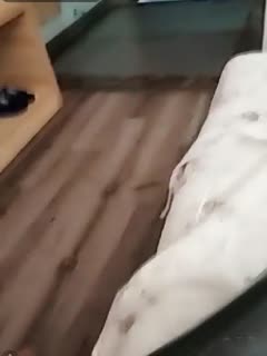 A级片战争片强奸链接色情链接-女王sm视频-成人AV