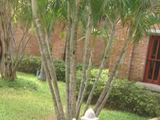 55影院-操老女人的全过程-成人AV