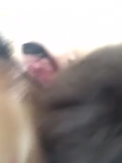 情趣调教喷水h-天美媒体传媒网站-成人AV