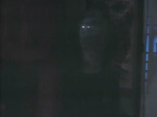 强制高h文-人人操人人操人人-成人AV