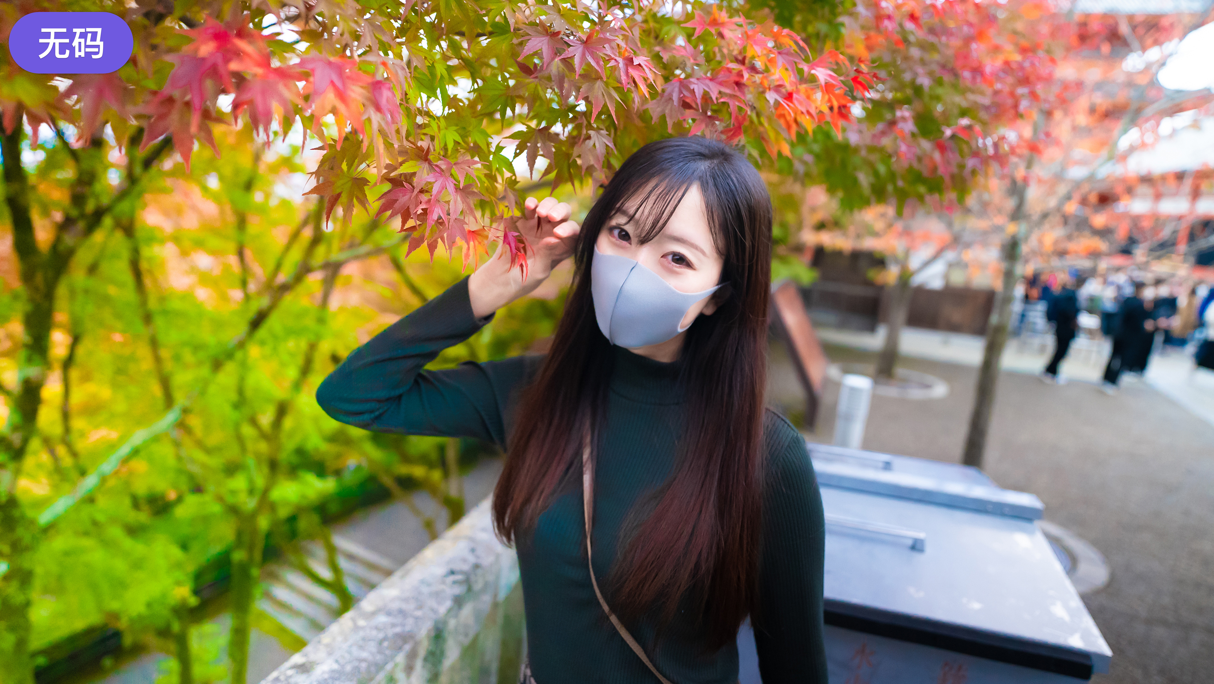 久久毛片免费无人区蜜臀av-韩国三级黄色高清视频-成人AV