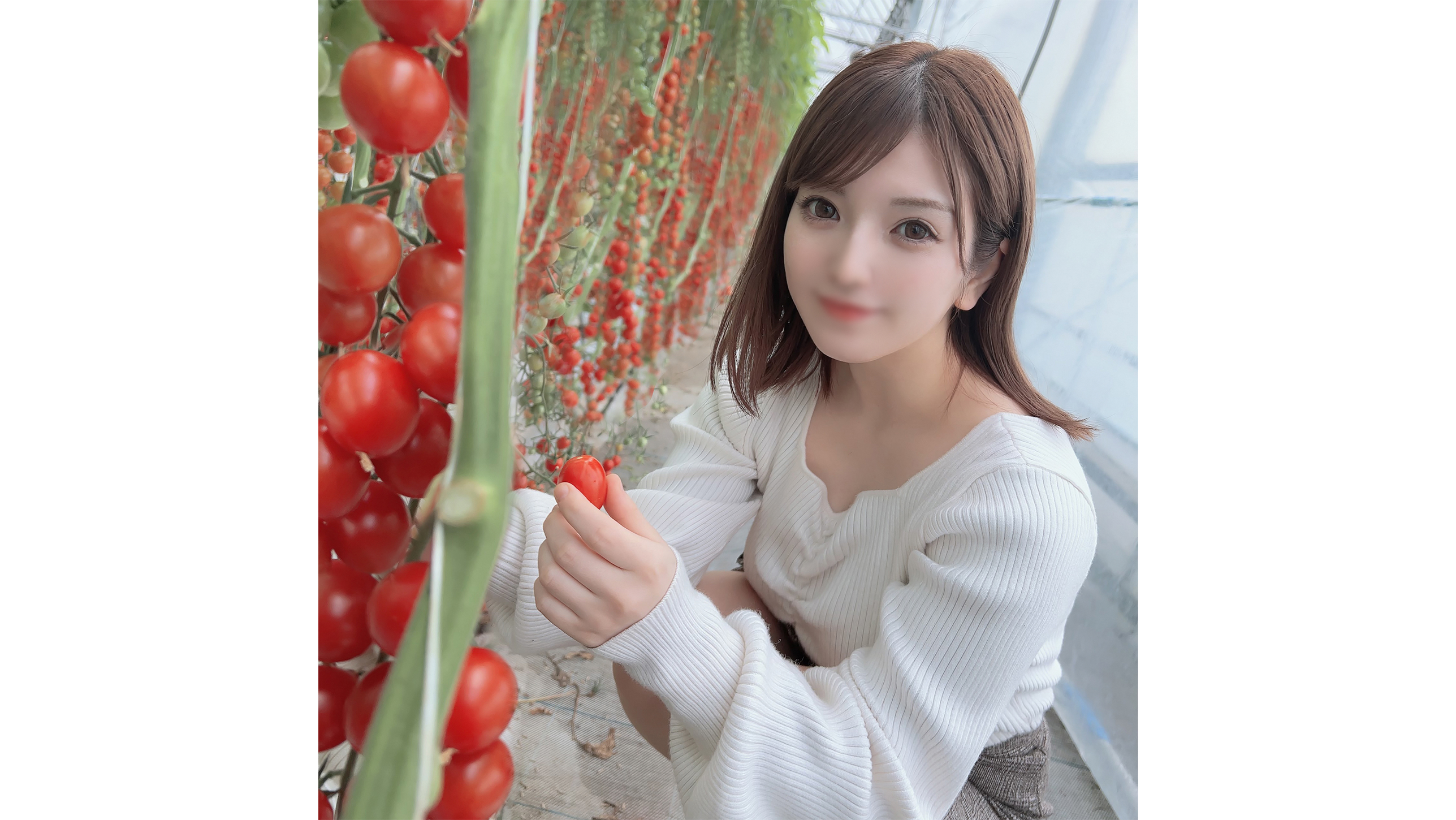 恋恋红尘电视剧免费观看完整版-亚州精品成人-成人AV