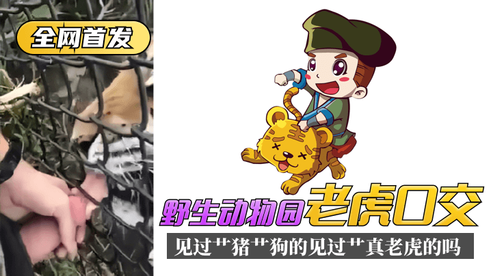 偷拍亚洲欧美-远山的召唤-成人AV