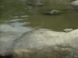 韩国大尺度床戏做爰无遮挡综艺-污污色色动态图-成人AV