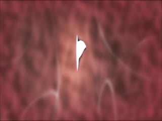 熊出没之机甲熊大破解版-我帮娇妻找粗大J-成人AV