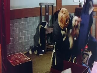 色哟哟黄色-freexxxxxhd100-成人AV