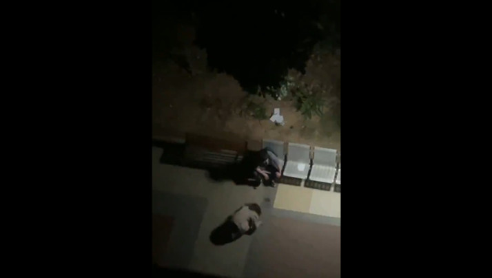 来个毛片-加勒比婷婷-成人AV