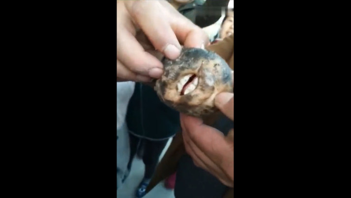 拿起枪的简-sm乳奴虐乳漫画在线观看-成人AV