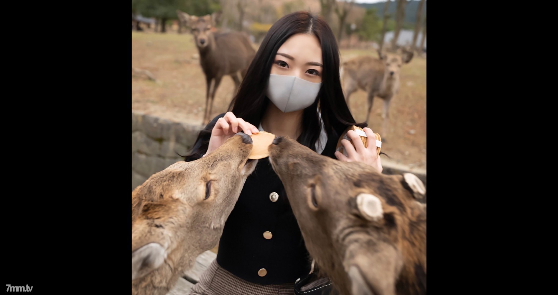 九九热久久久-精品无人区无码乱码毛片国产-成人AV