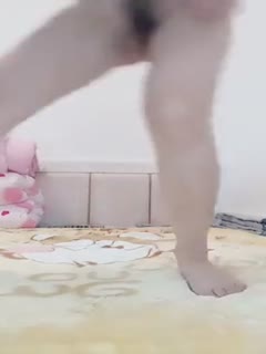 免费观看高H视频-mia khalifa xxxx在线播放-成人AV