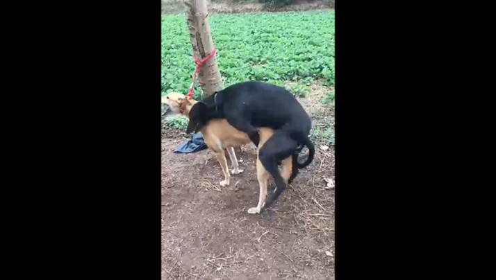 日韩亚洲欧洲在线com91tv-欧美经典群交高清多P性爱-成人AV