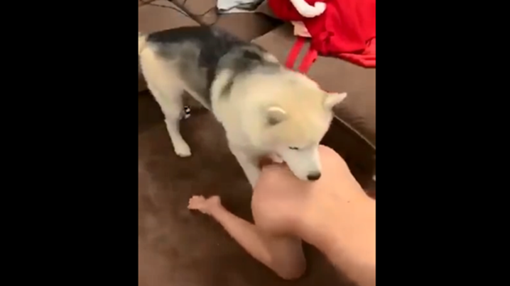 耻辱の中出し授业大桥未久8m-美女图片，日韩三级-成人AV