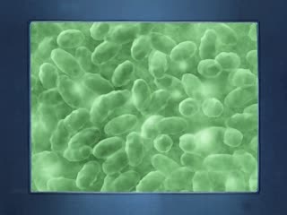 韩国激情3小时无删减-美女操B视频-成人AV