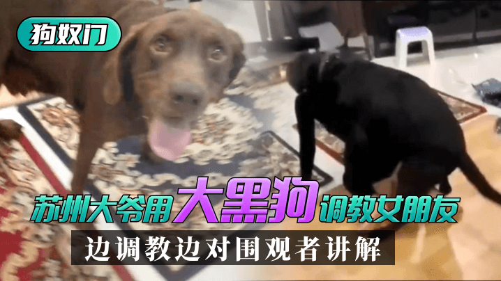 父母儿女大联欢吕红刘海-午夜www夜深人静-成人AV