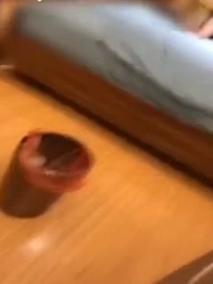 午夜电影免费观看-网络短剧免费观看app-成人AV