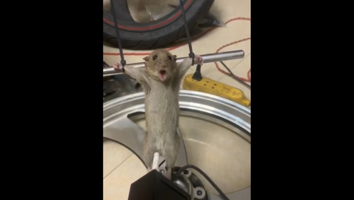 前度阿诗挽留全段原声-强制中出し～大桥未久10在线播放-成人AV